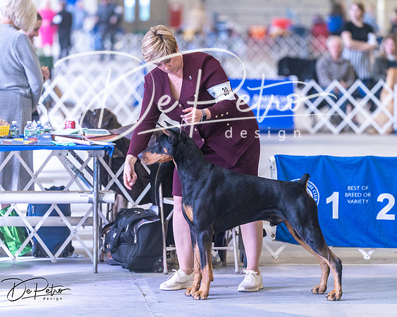 20250302-DSC07037