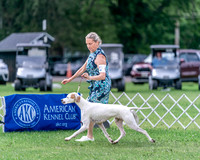 20240630-DSC03913