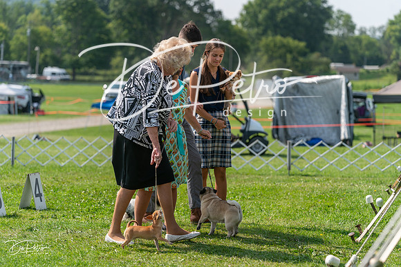 20240816-DSC00507