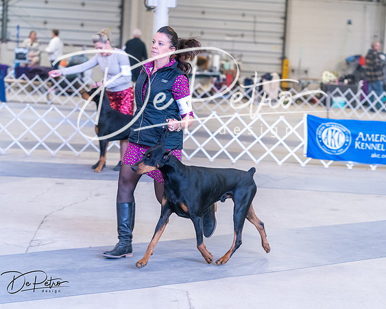 20250302-DSC06880