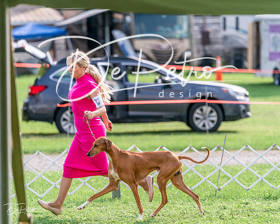 20240815-DSC08702