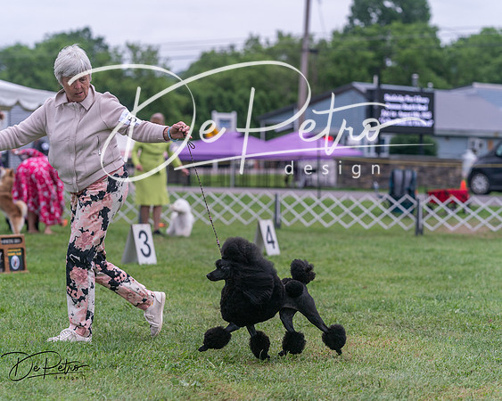 20250627-DSC06735