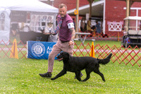 20250622-DSC01818