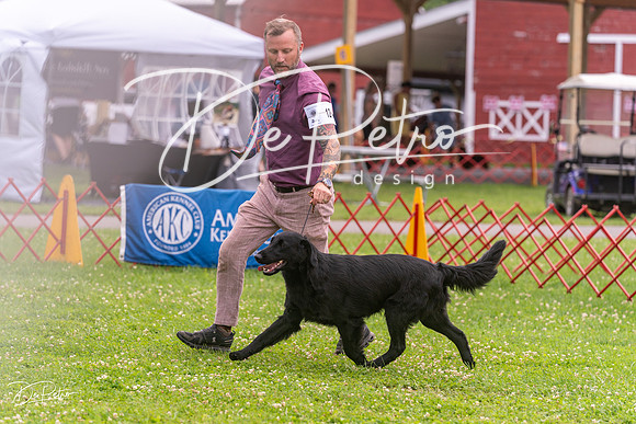 20250622-DSC01818