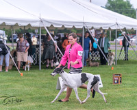 20250626-DSC04366