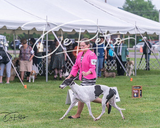 20250626-DSC04366