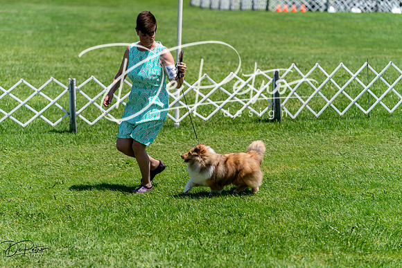 20240630-DSC01370