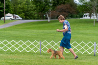 20190630-DSC06485