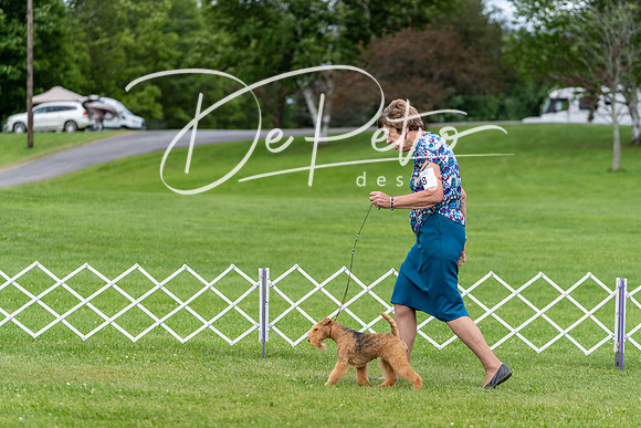 20190630-DSC06485