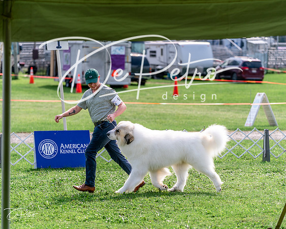 20240815-DSC07759