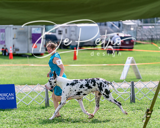 20240815-DSC07283