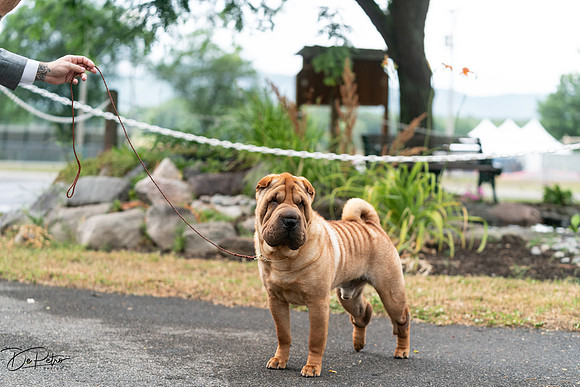 20240621-DSC02845