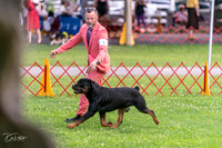 20250621-DSC07711