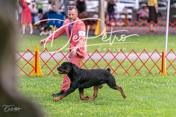 20250621-DSC07711