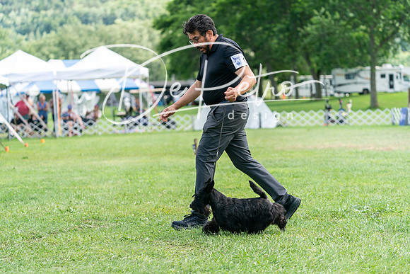 20240630-DSC05496