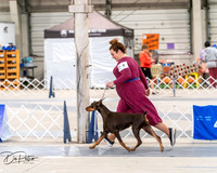 20250301-DSC03902
