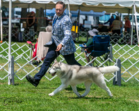 20250629-DSC09377
