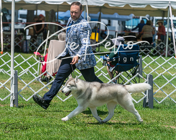 20250629-DSC09377
