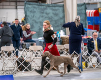 20250301-DSC04562
