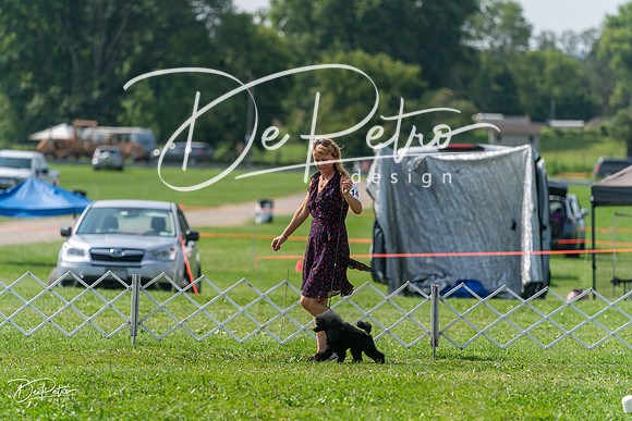 20240816-DSC00427