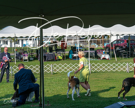 20240913-DSC00492