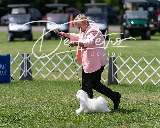 20240630-DSC01645