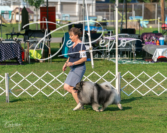 20240913-DSC00349