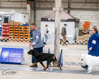 20250301-DSC03922