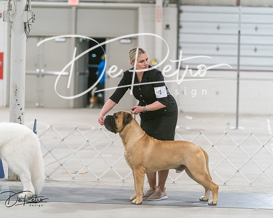 20250302-DSC07678