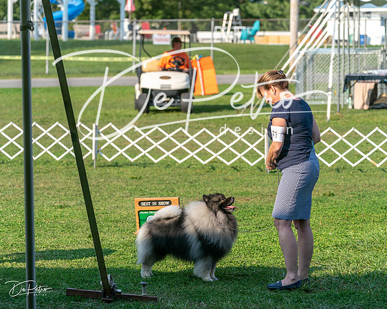 20240913-DSC00486
