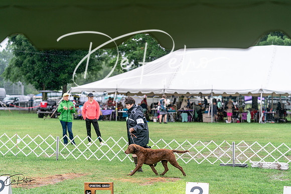 20240629-DSC06904-2