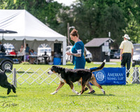 20240630-DSC02877