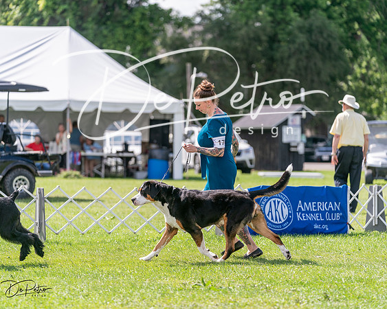 20240630-DSC02877