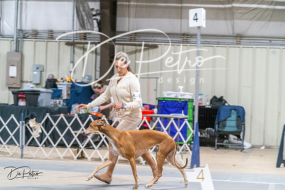 20240218-DSC02041