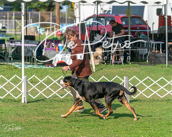 20240913-DSC09965