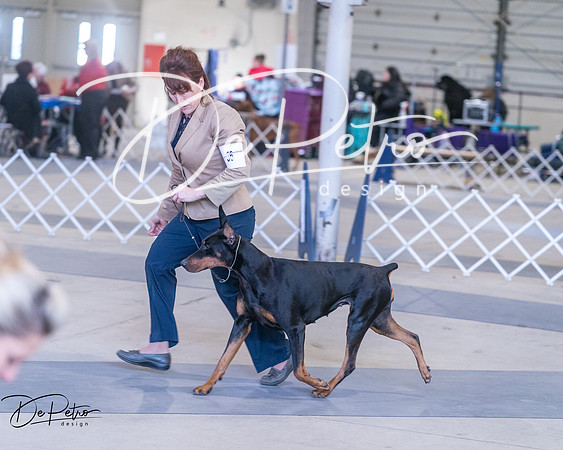 20250302-DSC06769