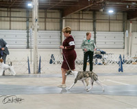 20250302-DSC07838