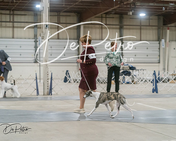 20250302-DSC07838