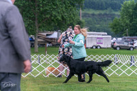 20250626-DSC02280