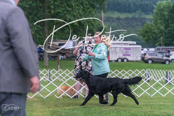 20250626-DSC02280