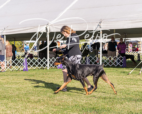 20190929-DSC02637
