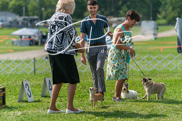 20240816-DSC00481