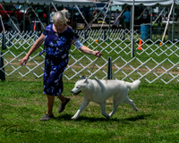 20250629-DSC09303