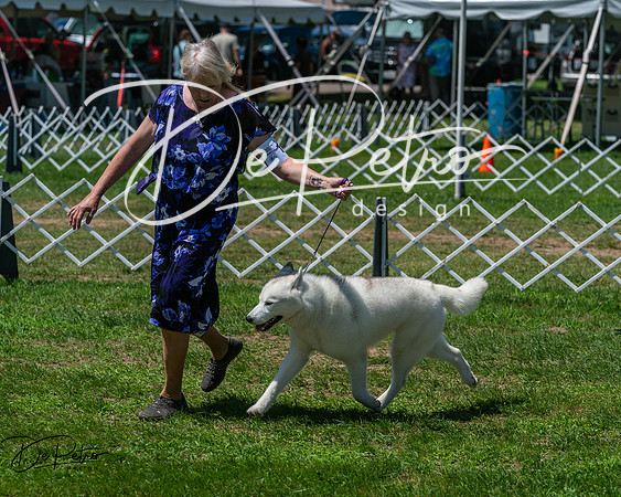 20250629-DSC09303