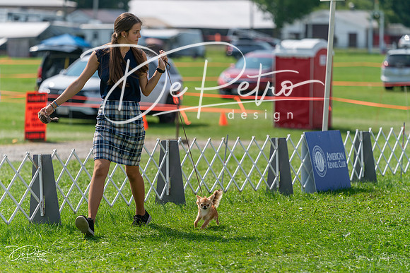 20240816-DSC00475