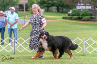 20250628-DSC07531