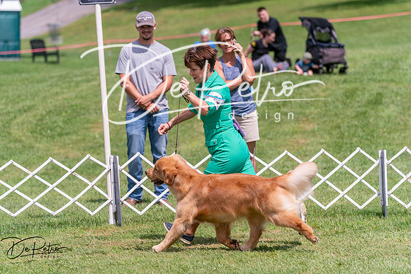 20250628-DSC07714