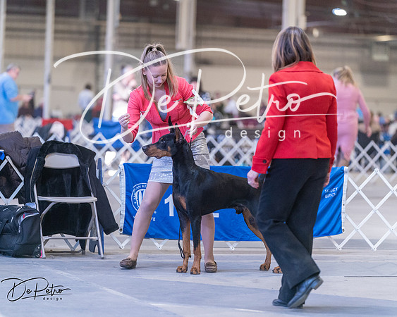 20250302-DSC06184