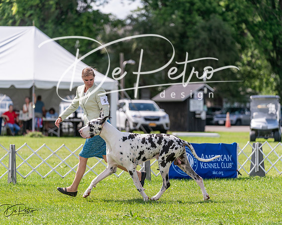 20240630-DSC02843