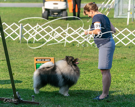 20240913-DSC00471